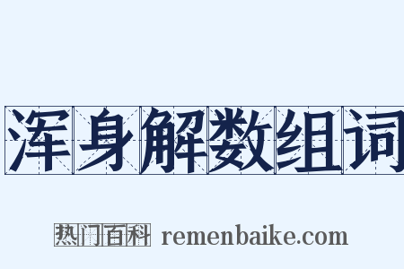 浑身解数组词是什么意思的图片